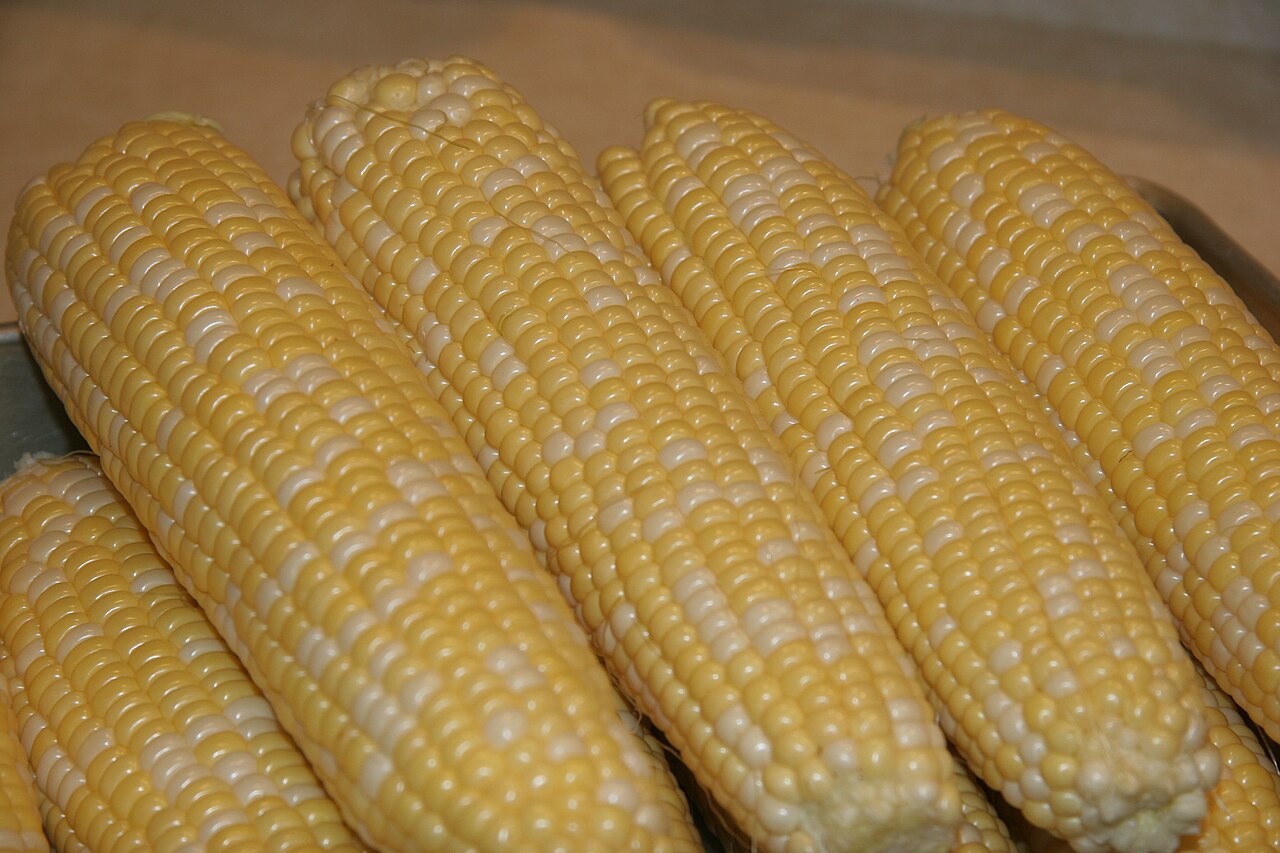 Sweet Corn