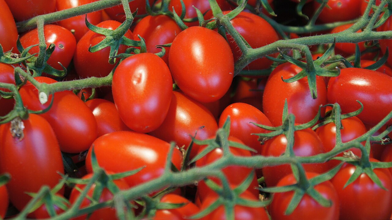 Vine-Ripened Tomatoes